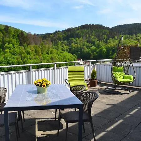 Penthouse Falkennest Bad Grund