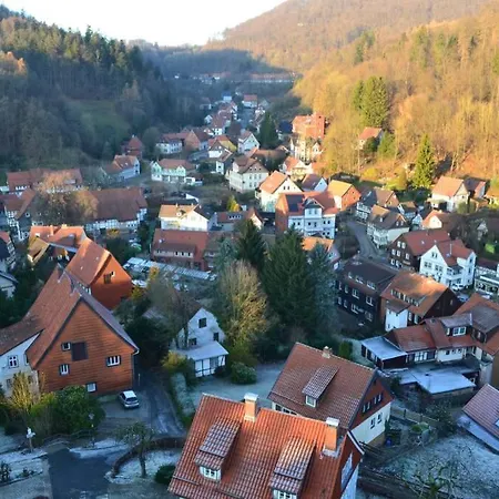 Lejlighed Penthouse Falkennest Bad Grund